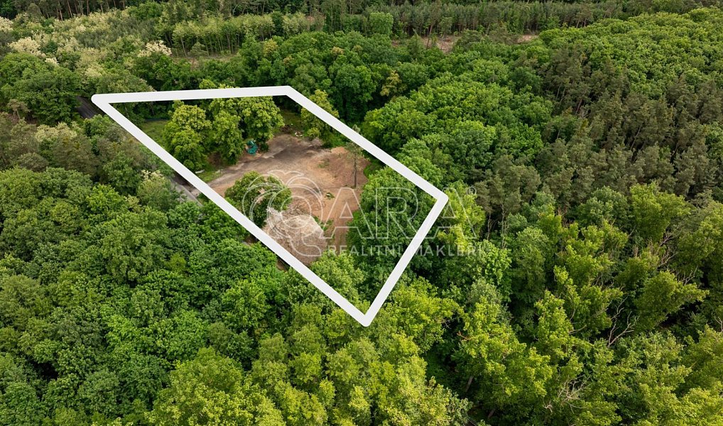 Prodej stavebního pozemku 6 090 m², Ovčáry – náhled fotky 3