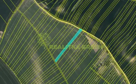 Prodej pole 8 725 m², Hlavní, Svatobořice-Mistřín - Mistřín, okres Hodonín