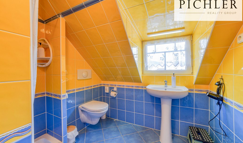 Prodej domu 341 m² s pozemkem 424 m², Stříbrná – náhled fotky 42