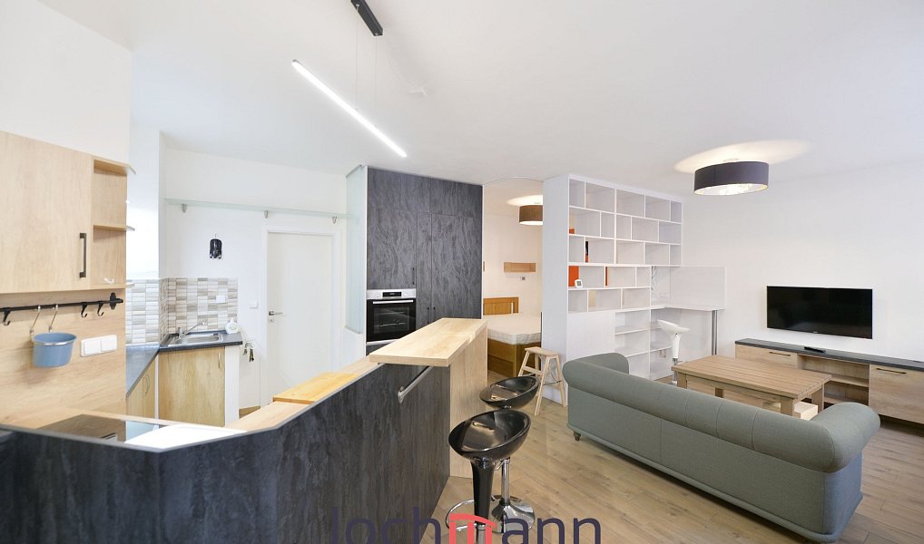 Pronájem bytu 1+kk 50 m², České Budějovice – fotka 1 z 14