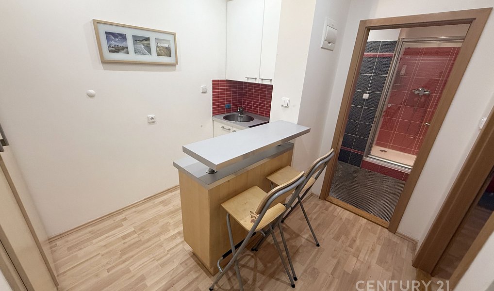Prodej bytu 1+1 28 m², Praha – náhled fotky 5