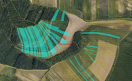 Prodej pole 63 768 m², Brumovice, okres Břeclav