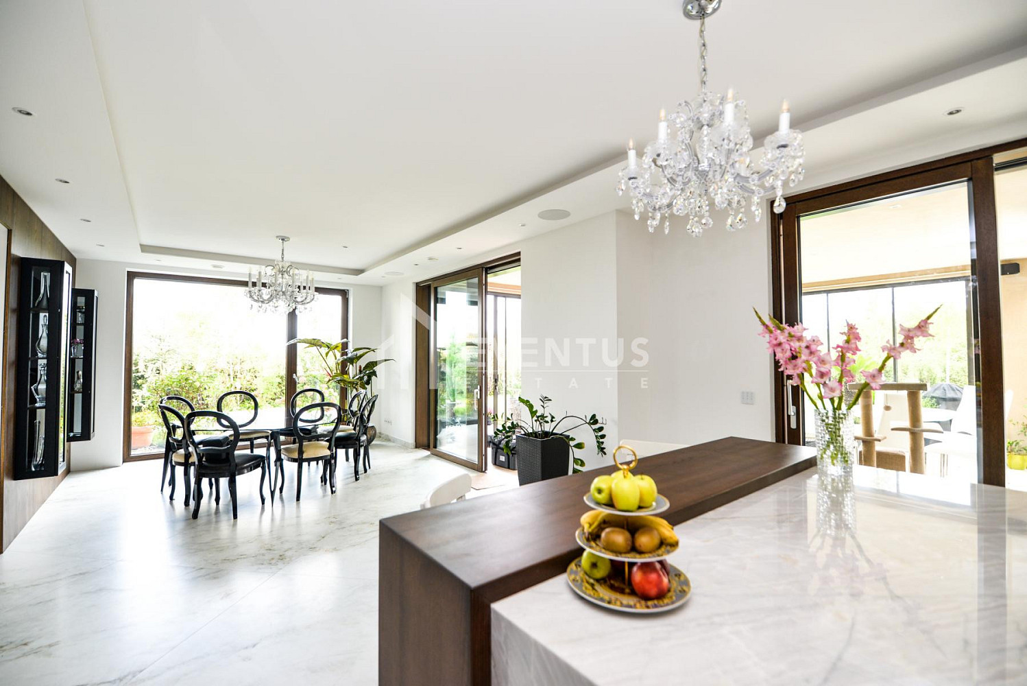 Prodej domu 510 m² s pozemkem 1 135 m² – fotografie 4
