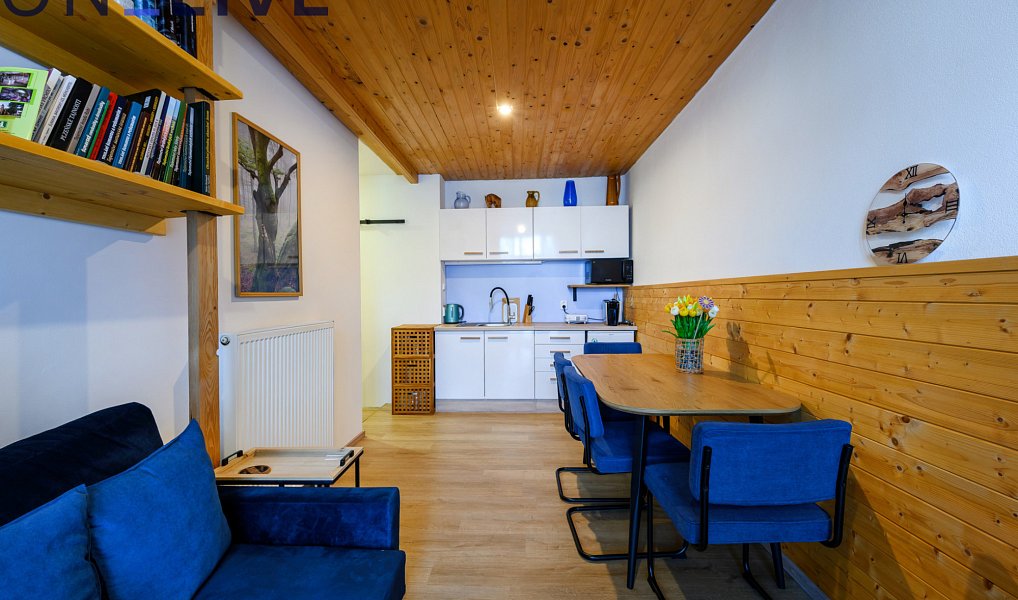 Prodej komerčního objektu (jiného typu) 500 m², Železná Ruda – náhled fotky 16