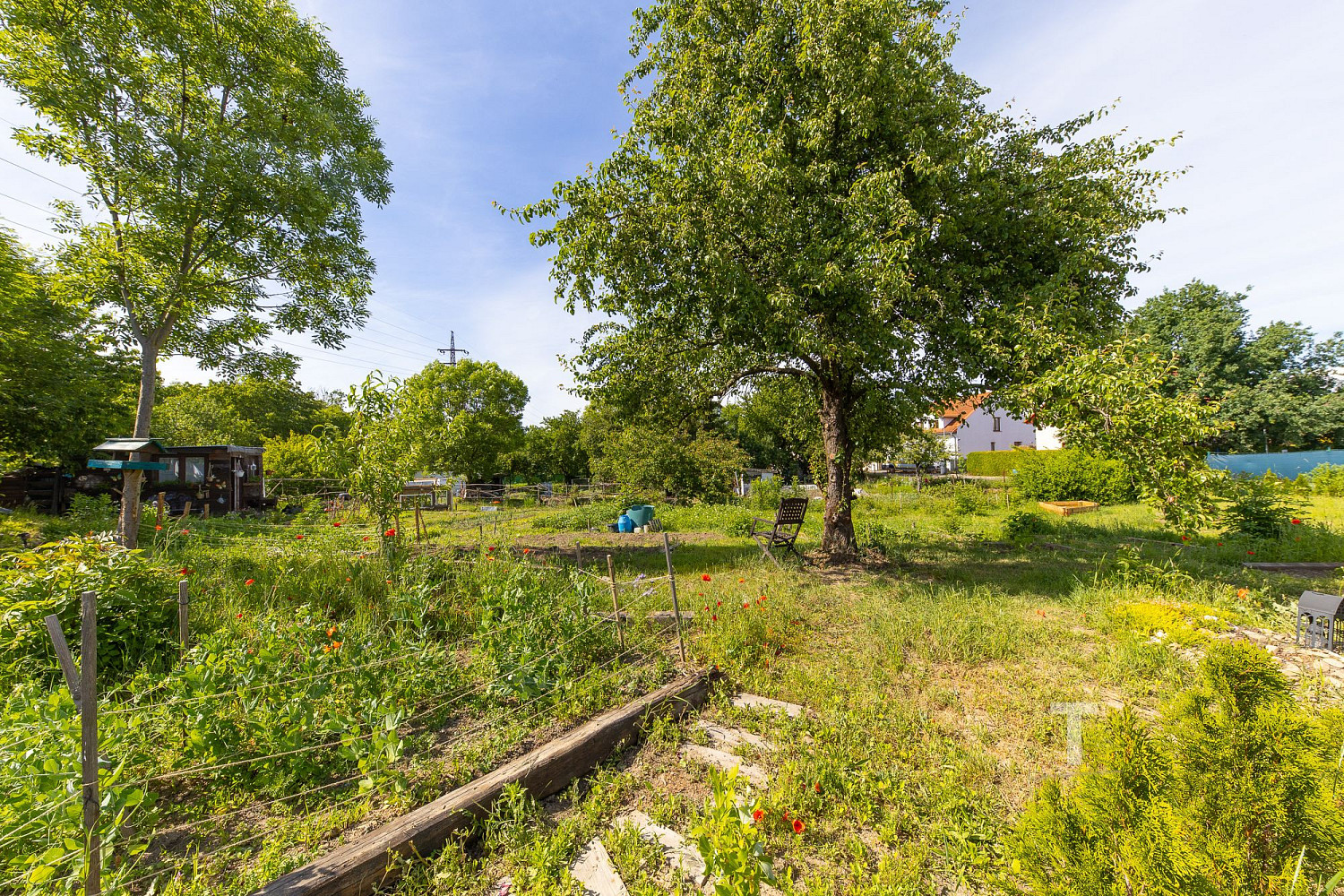 Prodej komerčního pozemku 1 600 m² – fotografie 3