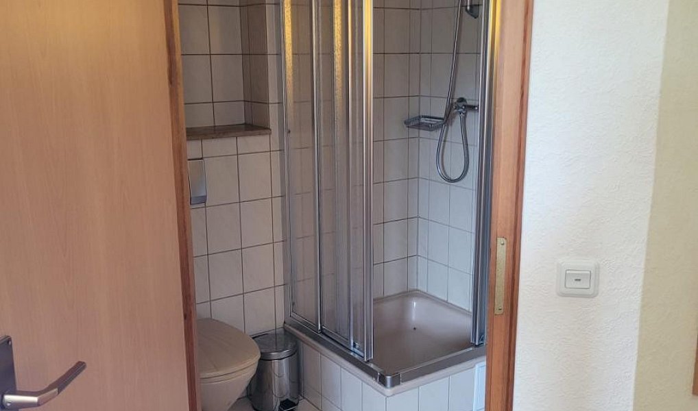 Pronájem ubytovacího objektu 1 753 m², Český Jiřetín – náhled fotky 15