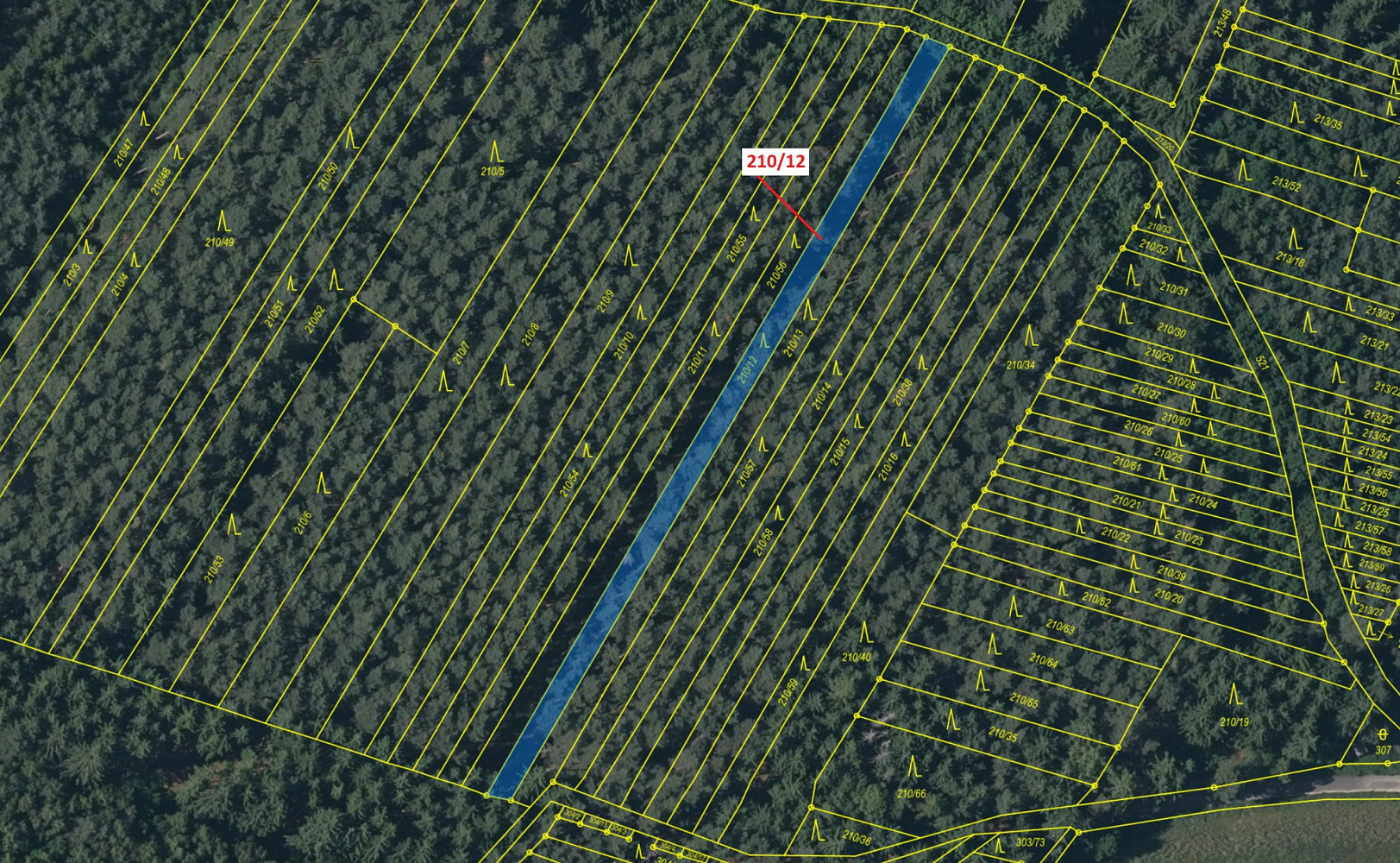 Dražba lesa 833 m² – pohled 2