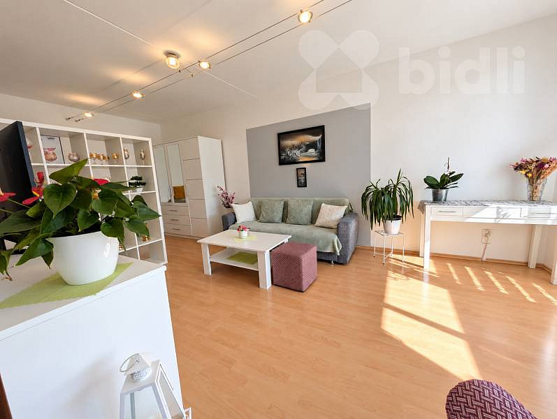 Prodej bytu 1+1 49 m²