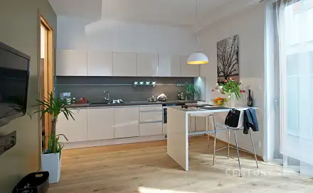 Pronájem bytu 1+kk 54 m²