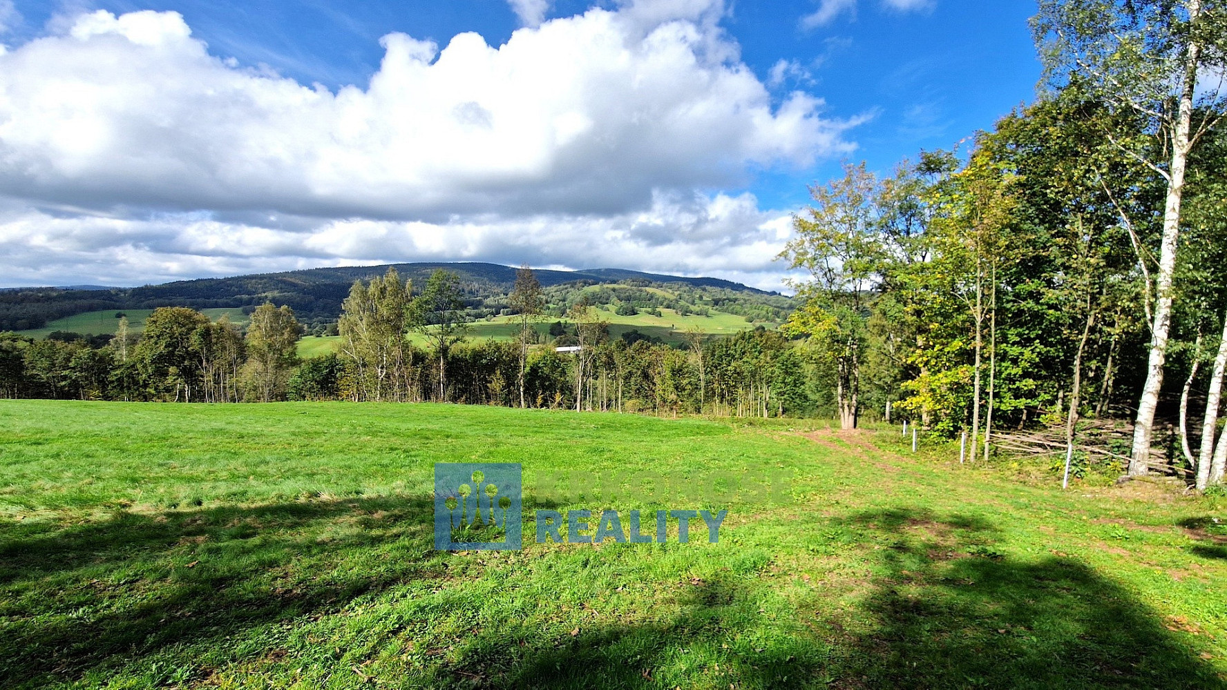 Prodej domu 320 m² s pozemkem 2 462 m² – fotografie 3
