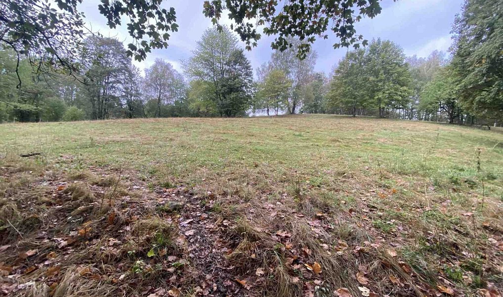 Prodej stavebního pozemku 3 849 m², Benešov nad Černou – náhled fotky 10