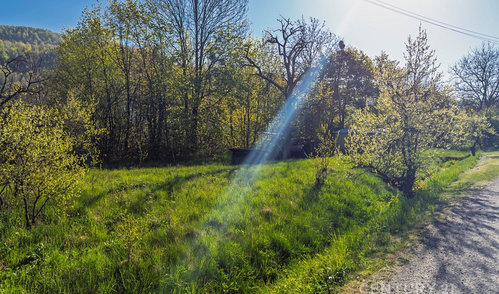 Prodej zahrady 1 699 m², Jakubčovice nad Odrou – náhled fotky 2