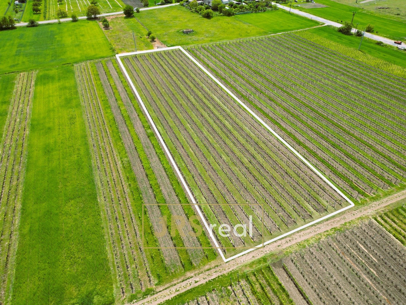 Prodej pole 4 926 m² – fotografie 3