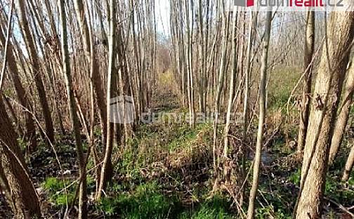 Prodej louky 7 652 m², Buřenice, okres Pelhřimov