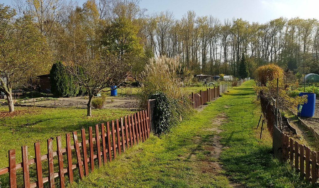 Pronájem zahrady 200 m², Rybitví – náhled fotky 3