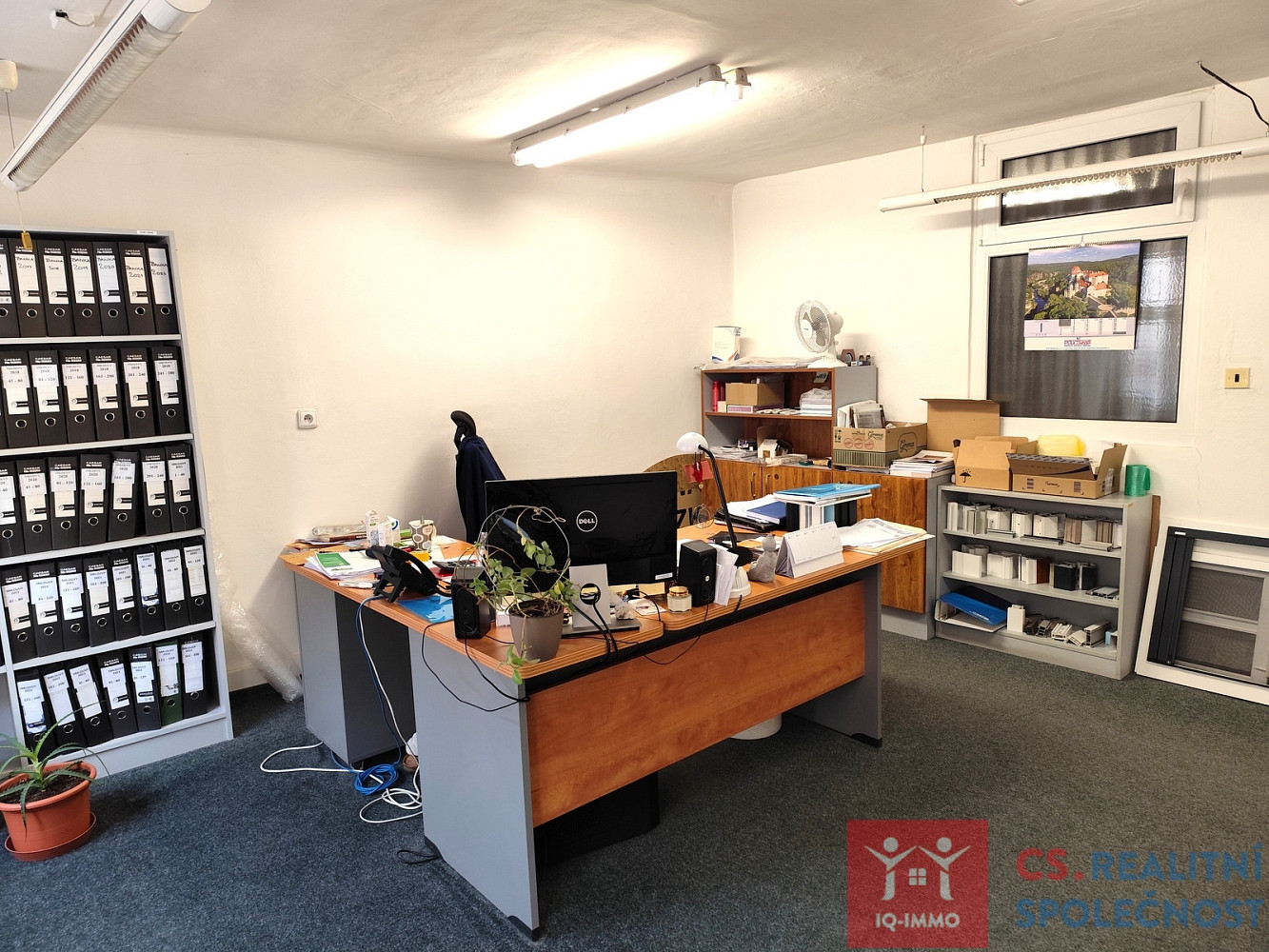 Prodej obchodních prostor 326 m² – pohled 6