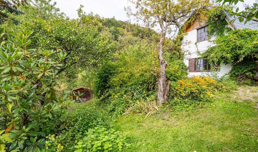 Prodej domu 100 m² s pozemkem 1 219 m², Hraběšice – náhled fotky 17