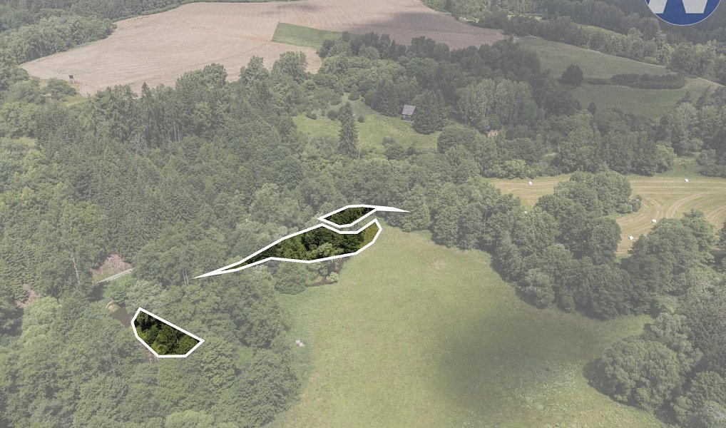 Prodej vodní plochy 1 939 m², Planá – náhled fotky 4