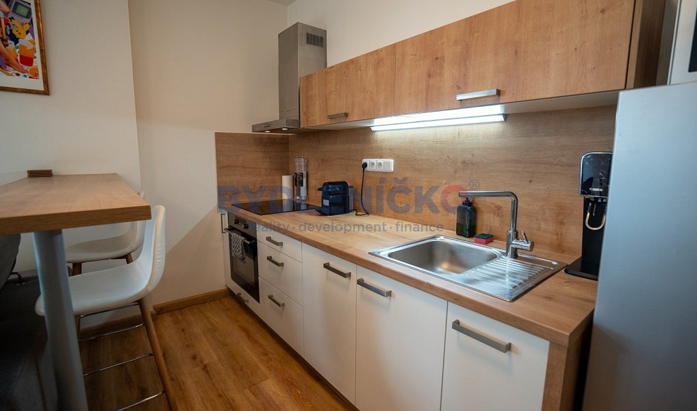 Prodej bytu 1+kk 45 m², České Budějovice – náhled fotky 4
