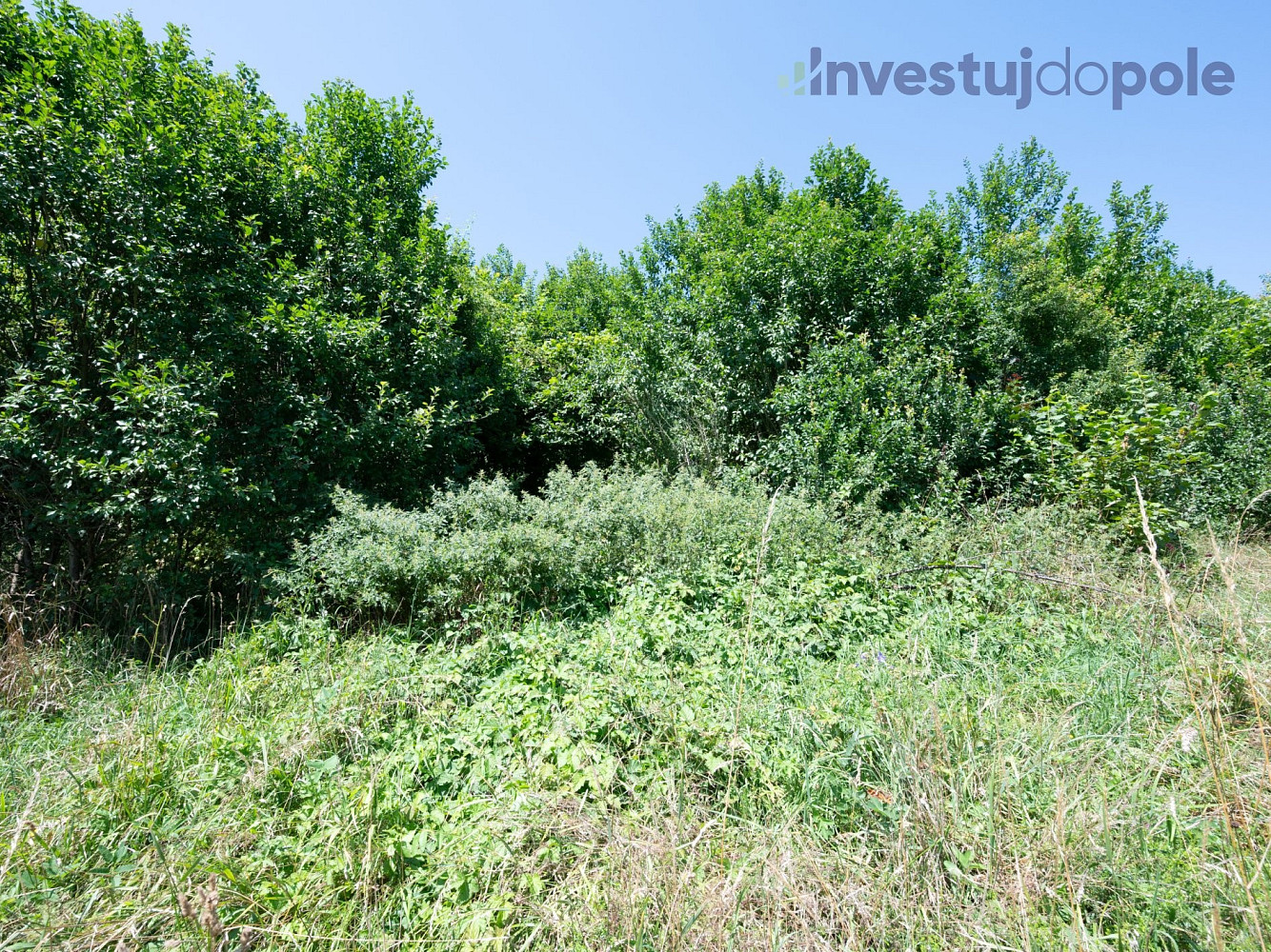 Prodej louky 2 240 m² – fotografie 4