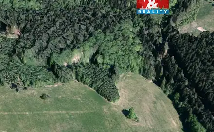 Prodej lesa 8 743 m², Valašská Senice, okres Vsetín