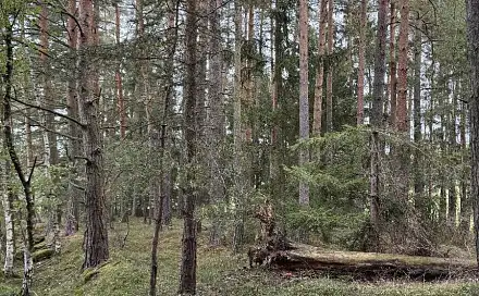 Prodej vodní plochy 9 153 m², Čížkrajice - Nemojany