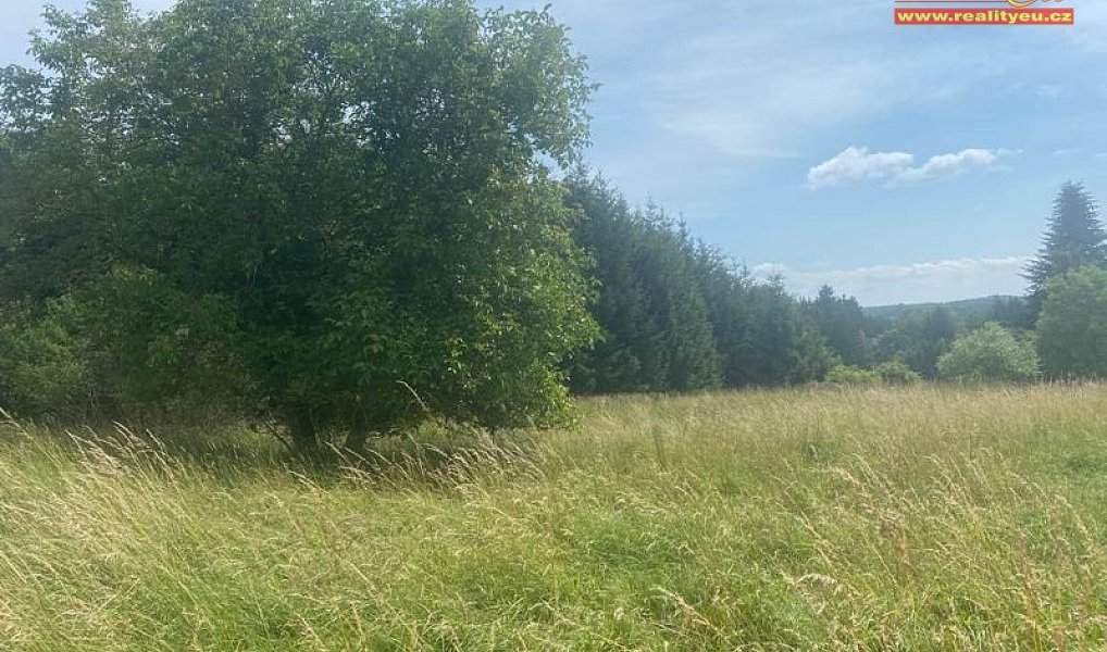 Prodej stavebního pozemku 5 284 m², Chotěvice – náhled fotky 11