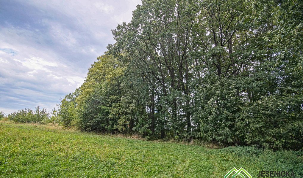 Prodej pole 16 809 m², Velké Kunětice – náhled fotky 6