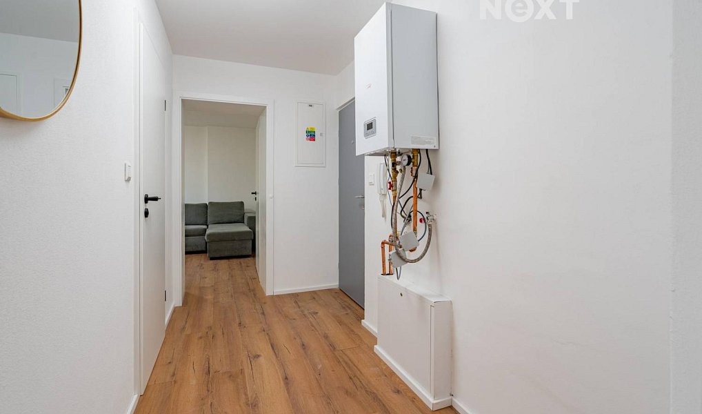Prodej bytu 2+kk 51 m², Horní Planá – náhled fotky 12