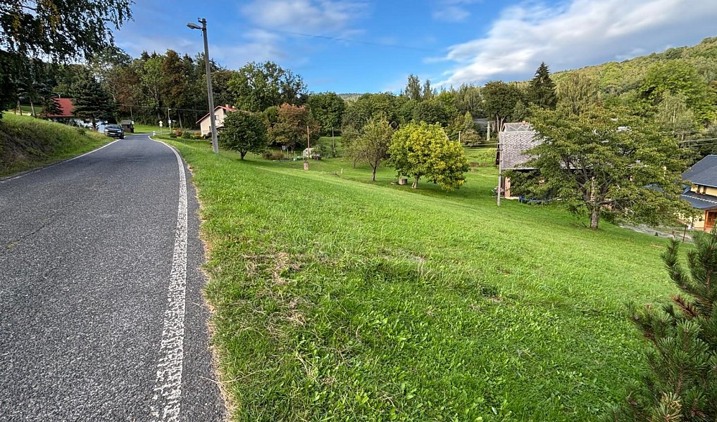Prodej stavebního pozemku 1 629 m², Zlatá Olešnice – náhled fotky 11