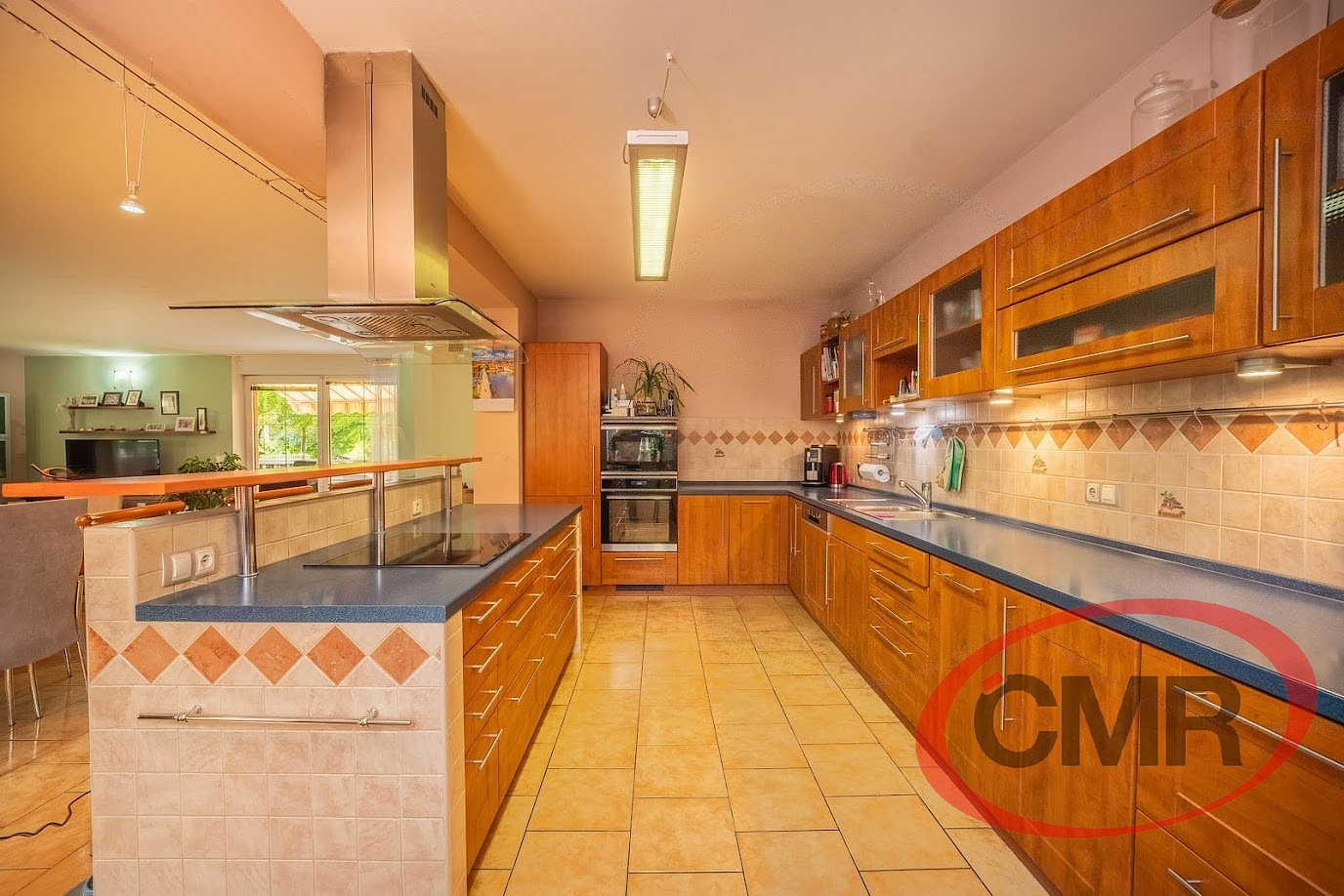 Prodej domu 350 m² s pozemkem 951 m² – fotografie 4