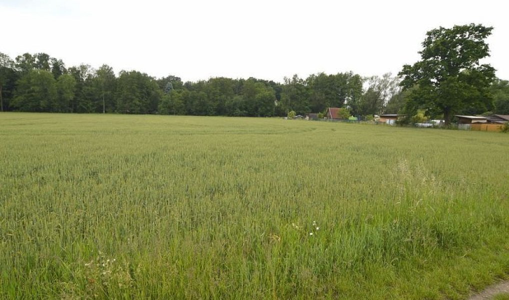 Prodej pozemku 2 267 m², Týniště nad Orlicí – náhled fotky 3
