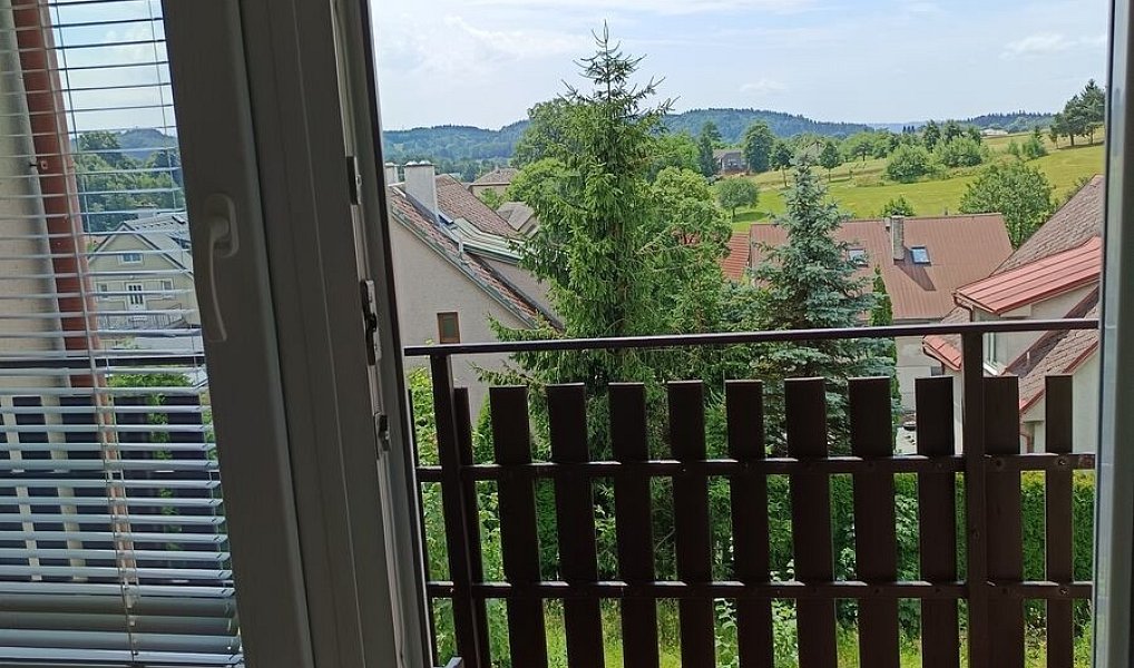 Prodej bytu 3+kk 85 m², Výprachtice – náhled fotky 16