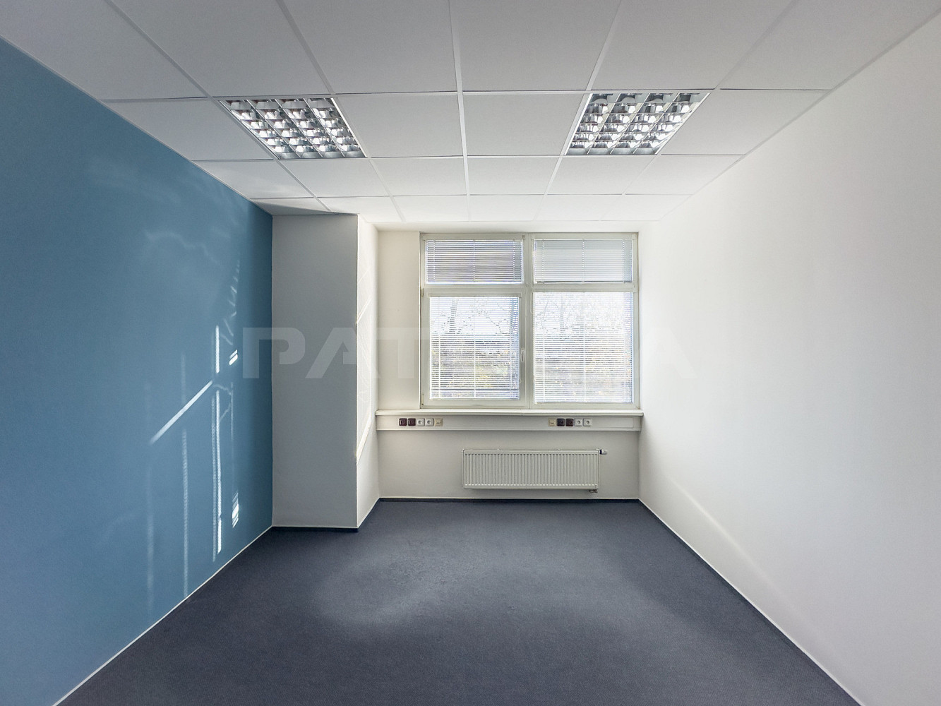 Pronájem kanceláře 309 m² – fotografie 4