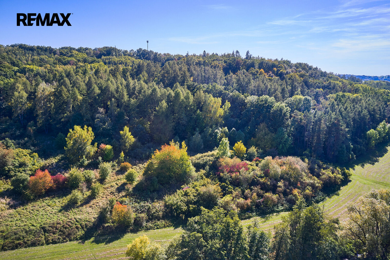Prodej lesa 31 440 m² – fotografie 5