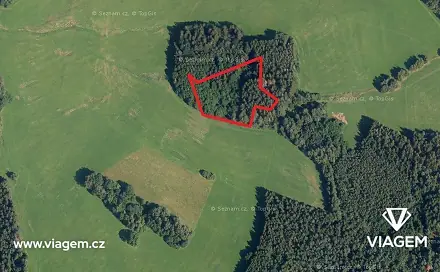 Prodej lesa 1 399 m², Vítanov, okres Chrudim