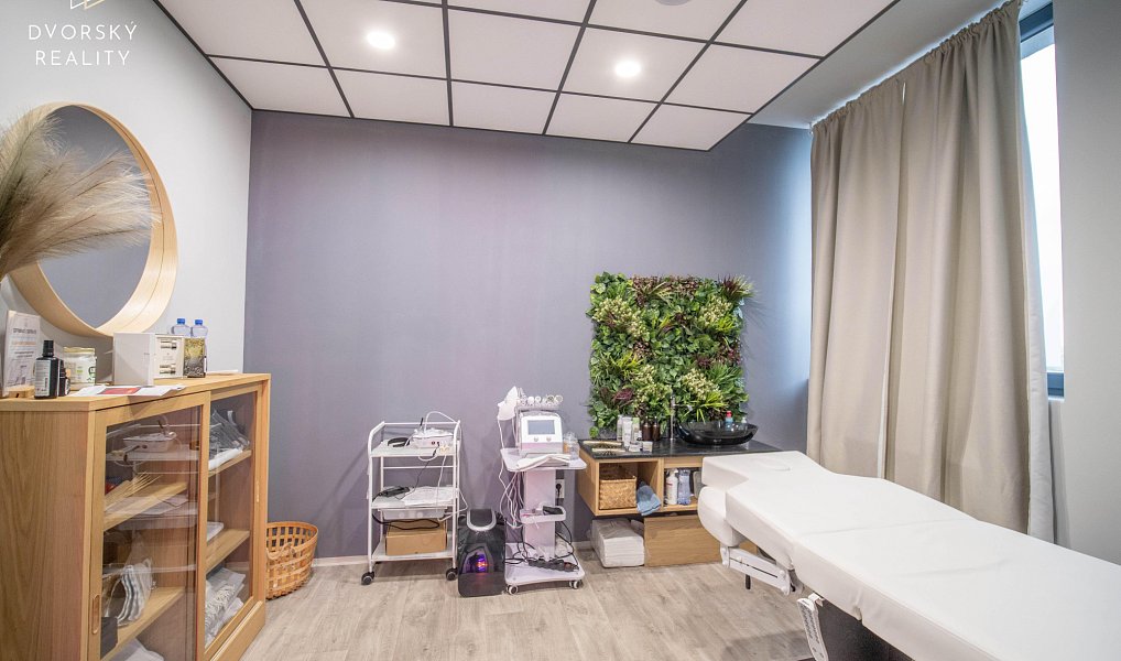 Prodej obchodních prostor 4 857 m², Mladá Boleslav – náhled fotky 12
