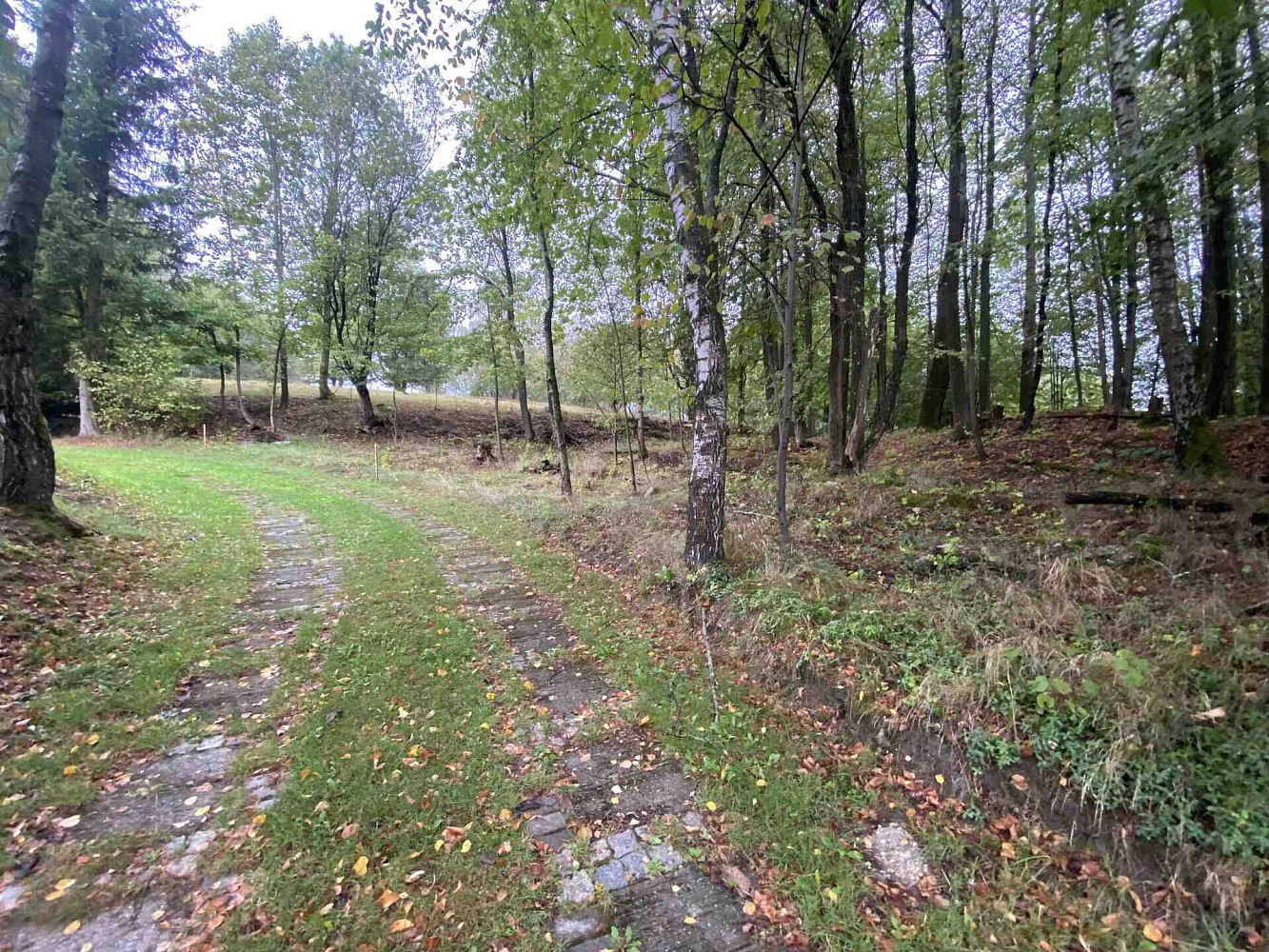 Prodej stavebního pozemku 3 849 m² – fotografie 4