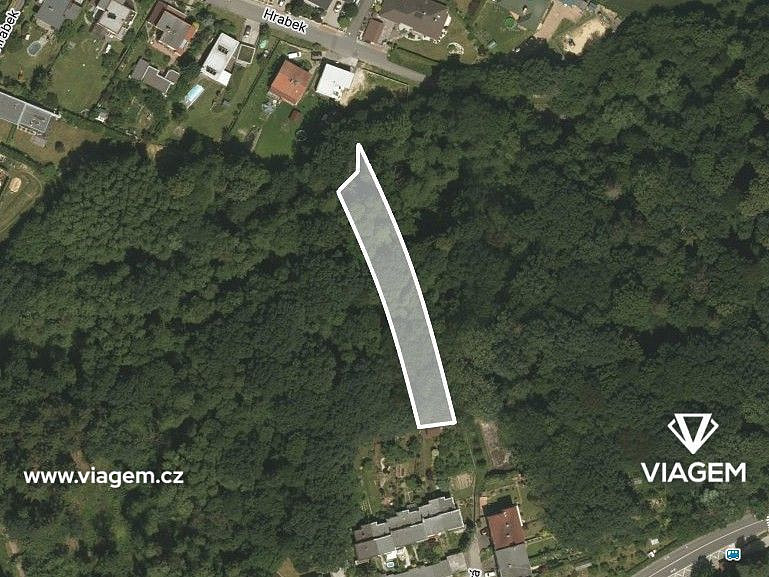 Prodej lesa 597 m² – fotografie 2