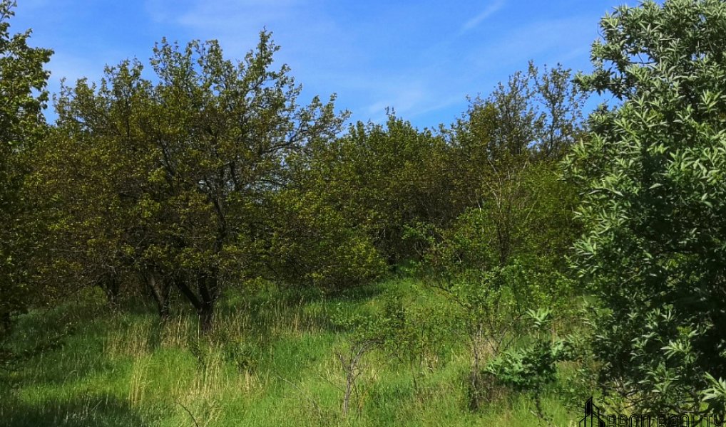 Prodej pozemku 22 292 m², Hustopeče – náhled fotky 4