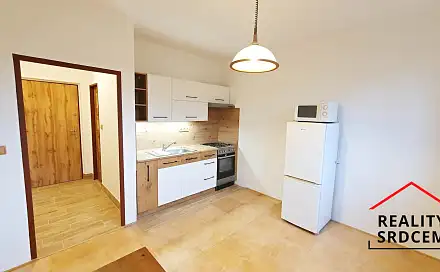 Pronájem bytu 1+1 37 m²