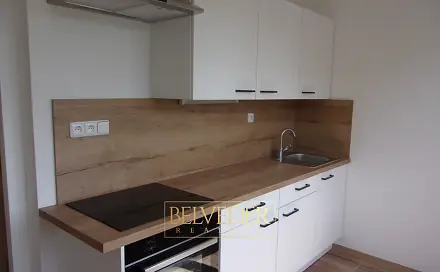 Pronájem bytu 2+1 53 m², Stará Duchcovská, Teplice - Řetenice