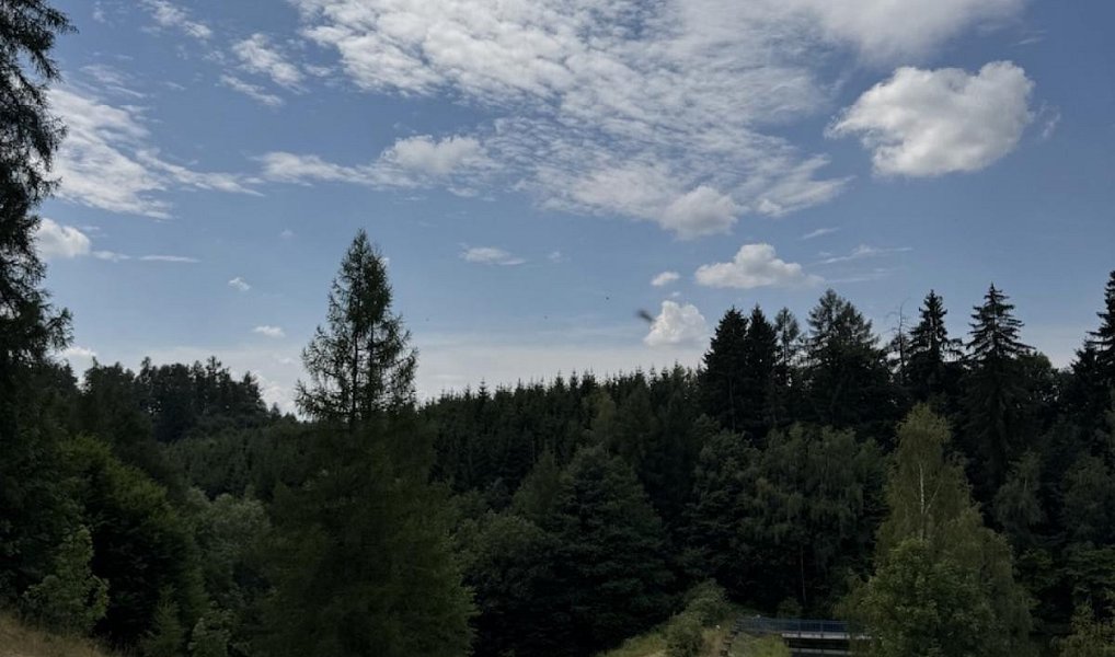 Prodej pole 8 401 m², Jedlí – náhled fotky 6