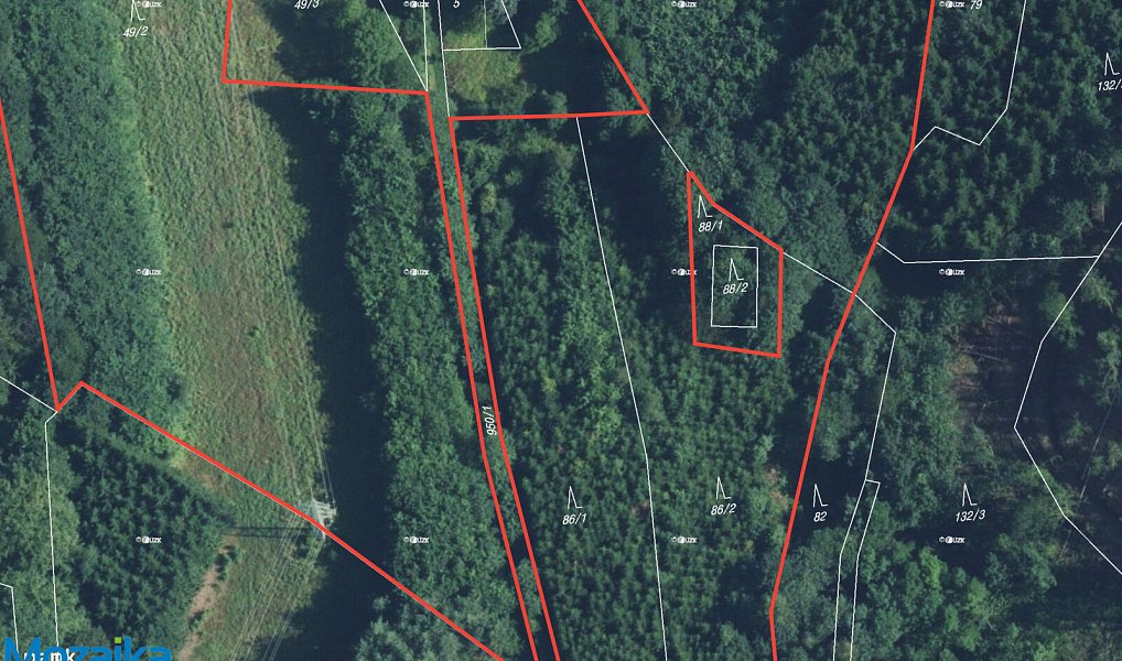 Prodej lesa 40 093 m², Strážná – náhled fotky 2