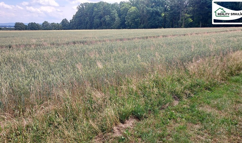 Prodej pole 99 724 m², Maňovice – náhled fotky 6