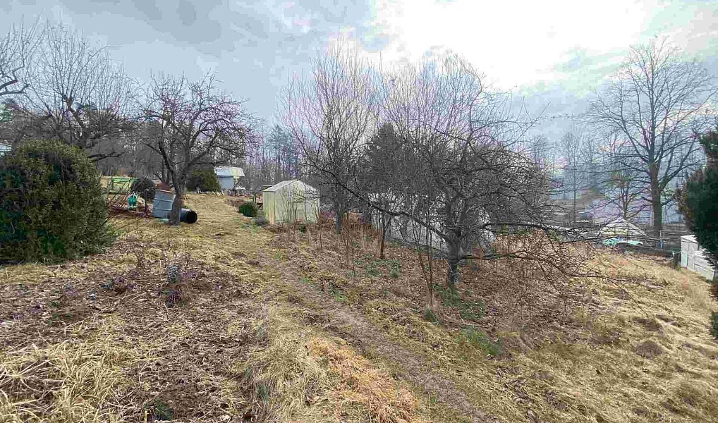 Prodej zahrady 194 m², Střížovice – náhled fotky 4