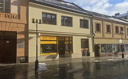 Prodej nájemního domu, činžáku 480 m², Wilsonova, Přerov - Přerov I-Město