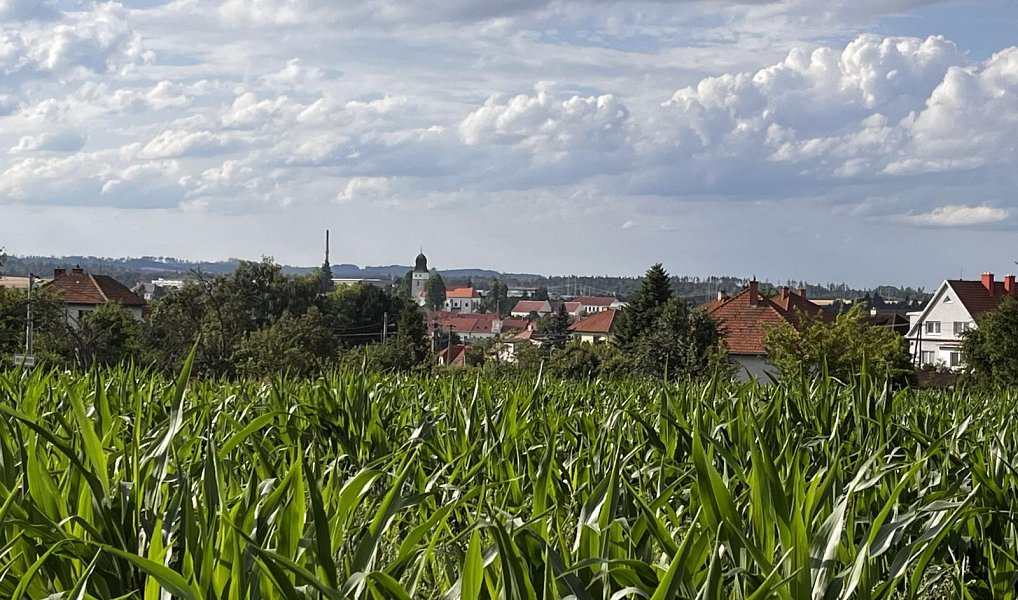 Prodej stavebního pozemku 4 468 m², Velká Bíteš – náhled fotky 7