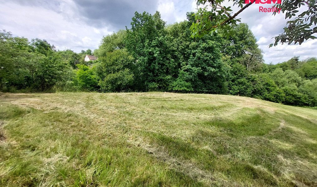 Prodej stavebního pozemku 2 790 m², Milešov – náhled fotky 6