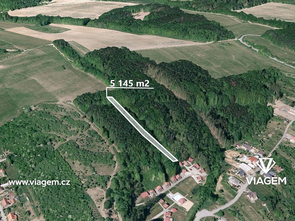 Prodej lesa 770 m²
